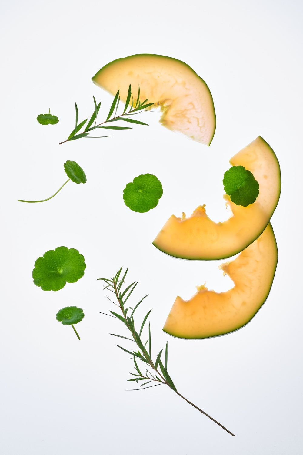 Tocobo Cica Calming Powder Wash 50g