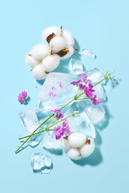 Tocobo Blur Finish Sun Cushion - 2 colours