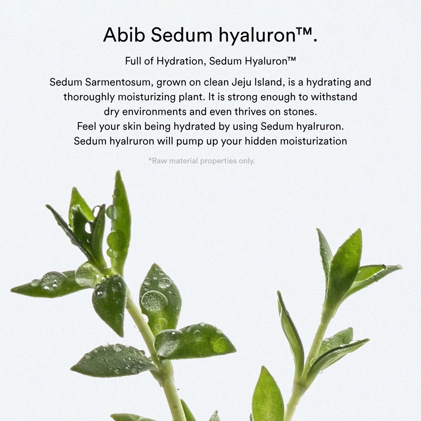 Abib Sedum Hyaluron Pad Hydrating Touch 165ml 75 pads