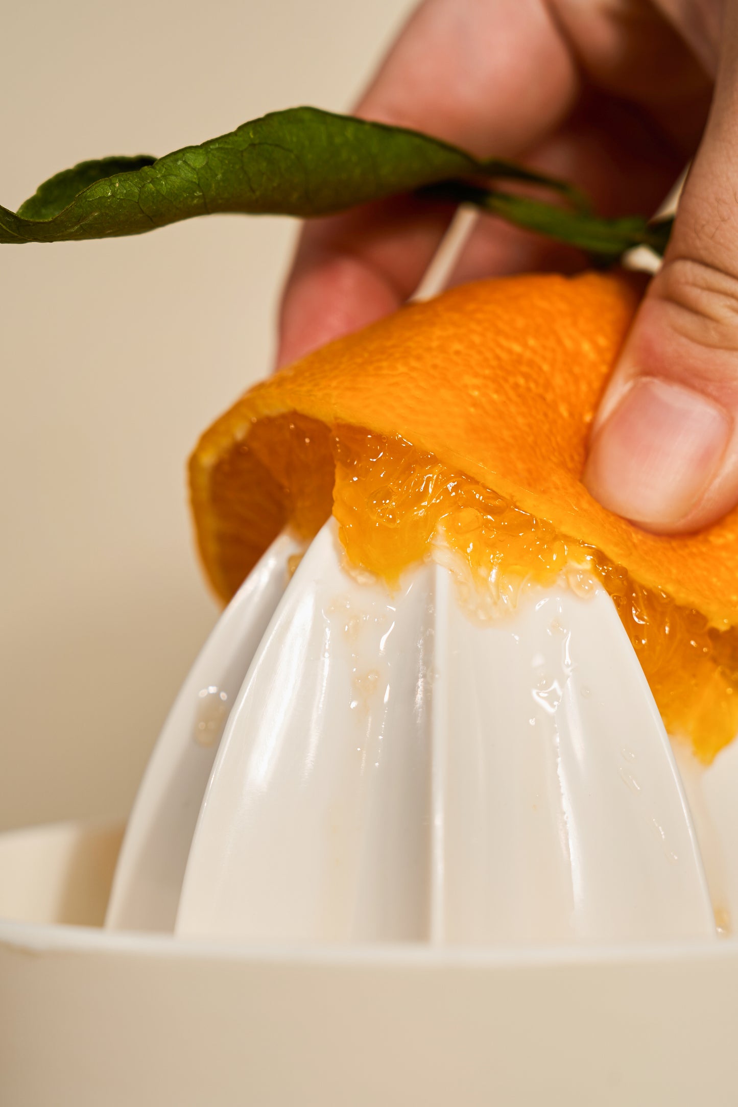 haruharu wonder Centella 3% PHA Gentle Liquid Exfoliating Serum 120ml