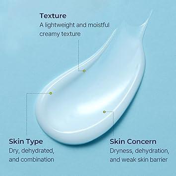 Torriden DIVE IN Low Molecular Hyaluronic Acid Cream 80ml