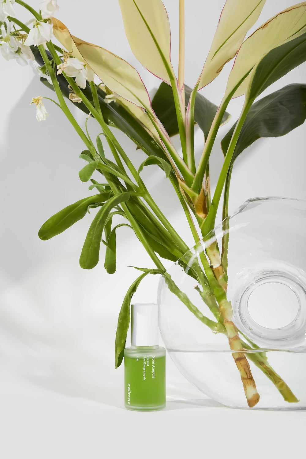 celimax The Real Noni Energy Ampoule  - 2 sizes