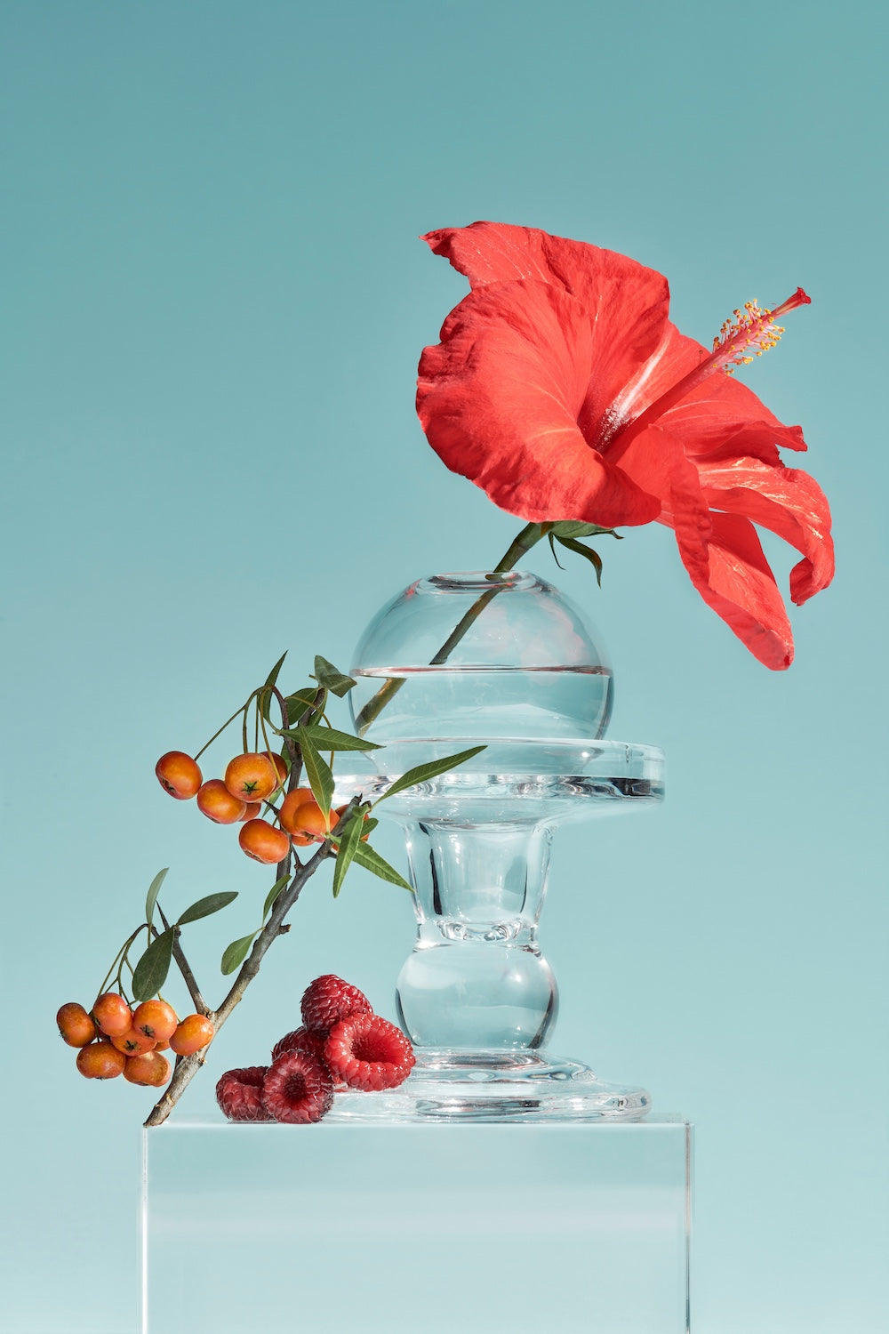 Tocobo Vita Berry Pore Toner 150ml